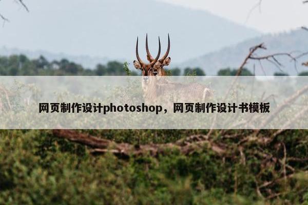 网页制作设计photoshop，网页制作设计书模板