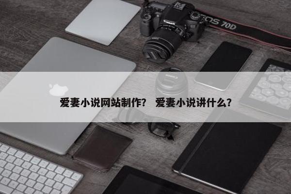 爱妻小说网站制作？ 爱妻小说讲什么？
