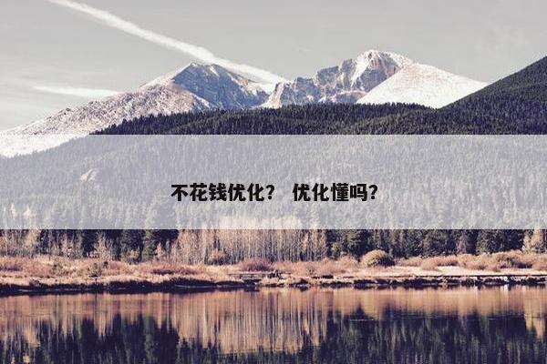 不花钱优化？ 优化懂吗？