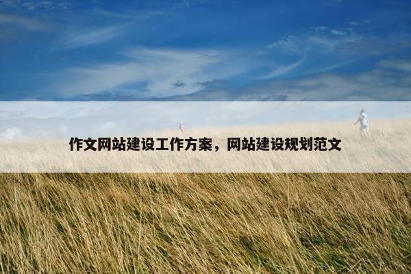作文网站建设工作方案，网站建设规划范文