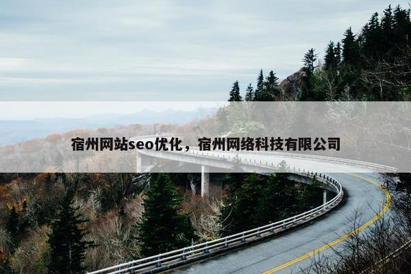 宿州网站seo优化，宿州网络科技有限公司