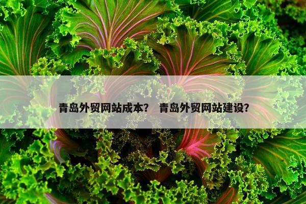 青岛外贸网站成本？ 青岛外贸网站建设？
