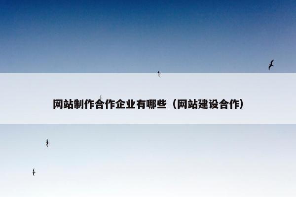 网站制作合作企业有哪些（网站建设合作）