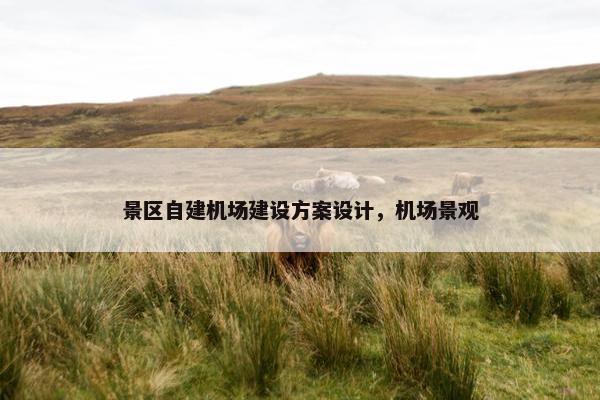 景区自建机场建设方案设计，机场景观