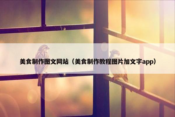 美食制作图文网站（美食制作教程图片加文字app）