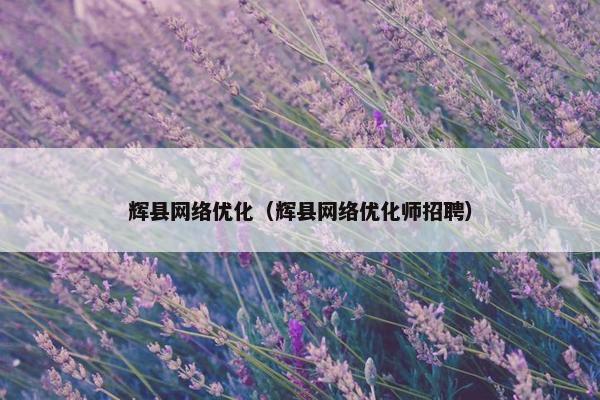 辉县网络优化（辉县网络优化师招聘）