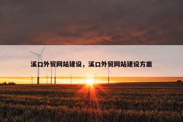 溪口外贸网站建设，溪口外贸网站建设方案