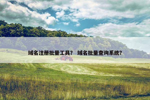 域名注册批量工具？ 域名批量查询系统？