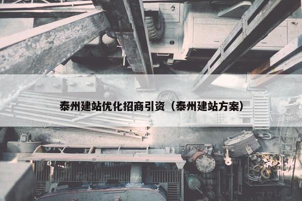 泰州建站优化招商引资（泰州建站方案）