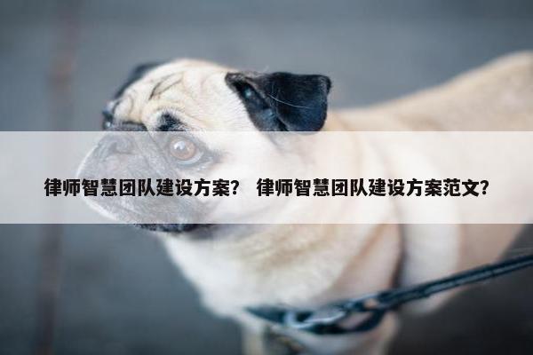 律师智慧团队建设方案？ 律师智慧团队建设方案范文？