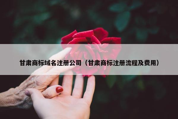 甘肃商标域名注册公司（甘肃商标注册流程及费用）