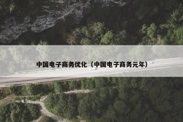 中国电子商务优化（中国电子商务元年）