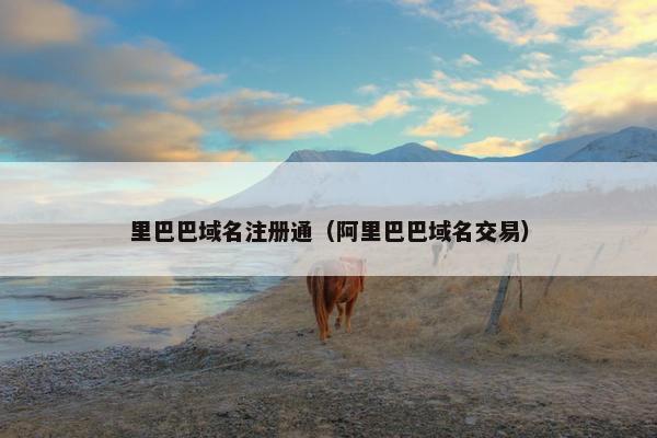 里巴巴域名注册通（阿里巴巴域名交易）