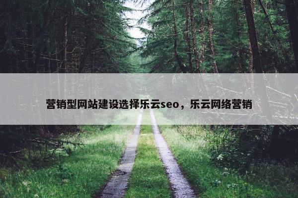 营销型网站建设选择乐云seo，乐云网络营销