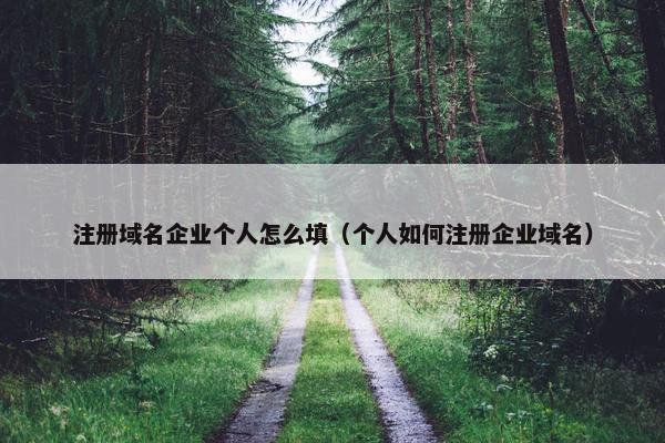 注册域名企业个人怎么填（个人如何注册企业域名）