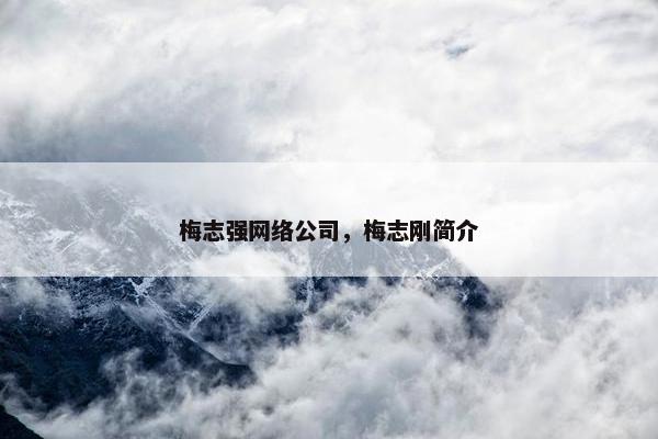 梅志强网络公司，梅志刚简介