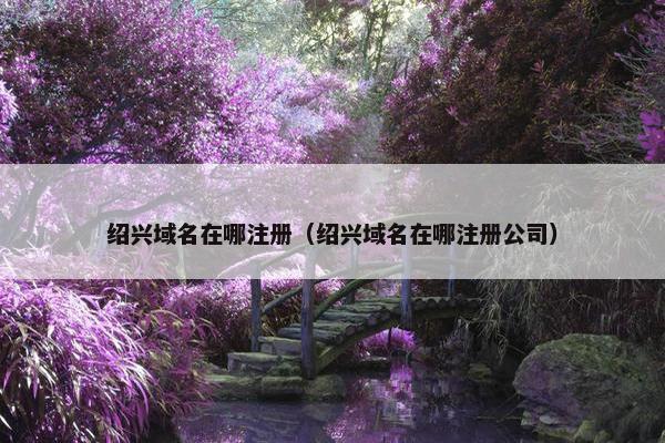 绍兴域名在哪注册（绍兴域名在哪注册公司）