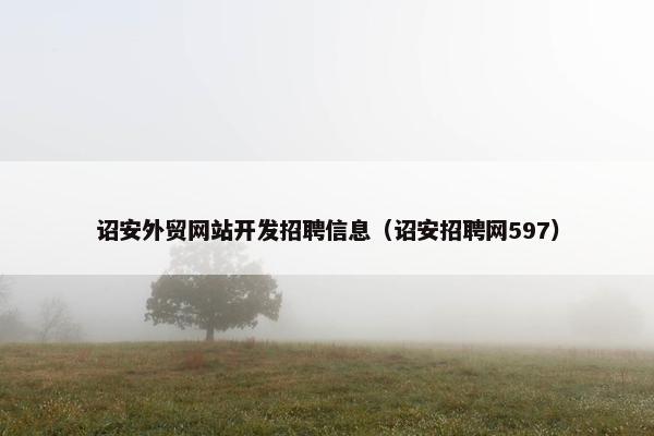 诏安外贸网站开发招聘信息（诏安招聘网597）