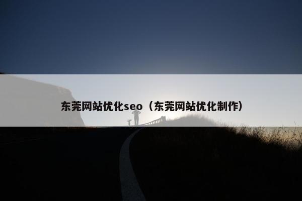 东莞网站优化seo（东莞网站优化制作）