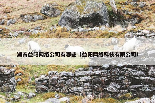 湖南益阳网络公司有哪些（益阳网络科技有限公司）