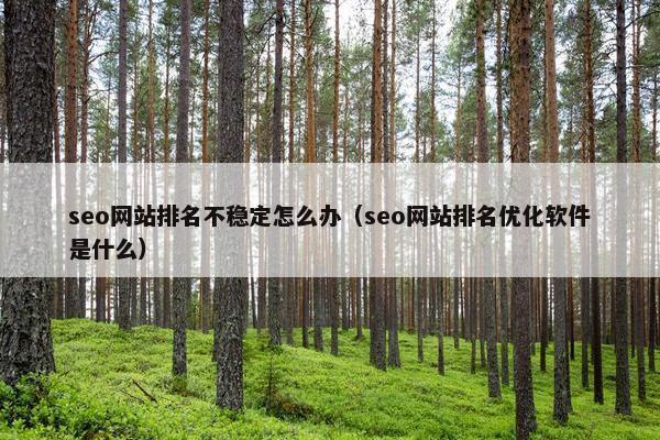 seo网站排名不稳定怎么办（seo网站排名优化软件是什么）