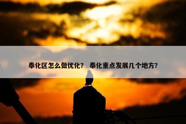 奉化区怎么做优化？ 奉化重点发展几个地方？