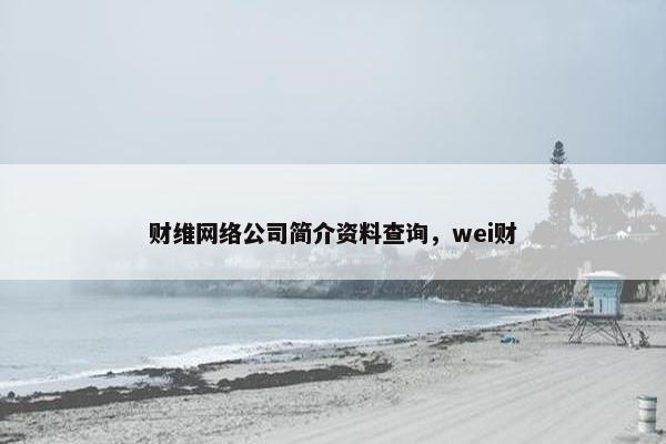 财维网络公司简介资料查询，wei财