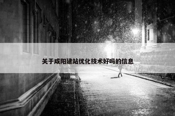 关于咸阳建站优化技术好吗的信息