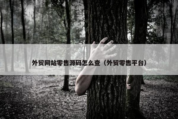 外贸网站零售源码怎么查（外贸零售平台）
