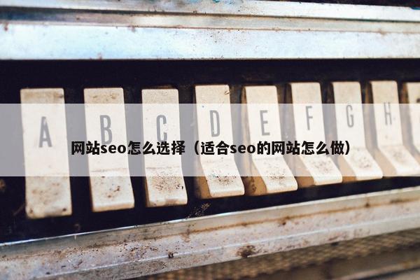 网站seo怎么选择（适合seo的网站怎么做）