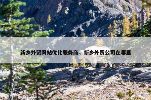 新乡外贸网站优化服务商，新乡外贸公司在哪里