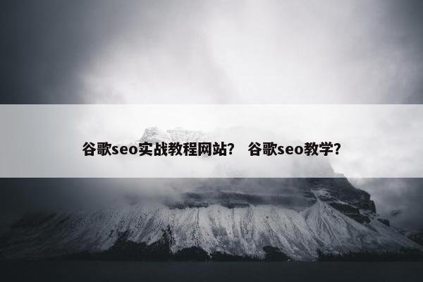 谷歌seo实战教程网站？ 谷歌seo教学？