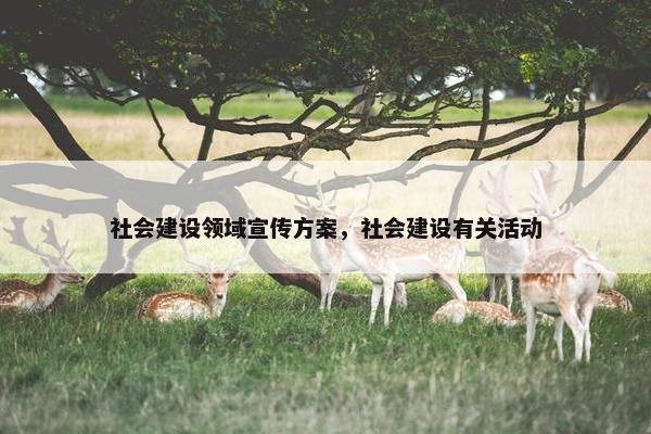 社会建设领域宣传方案，社会建设有关活动