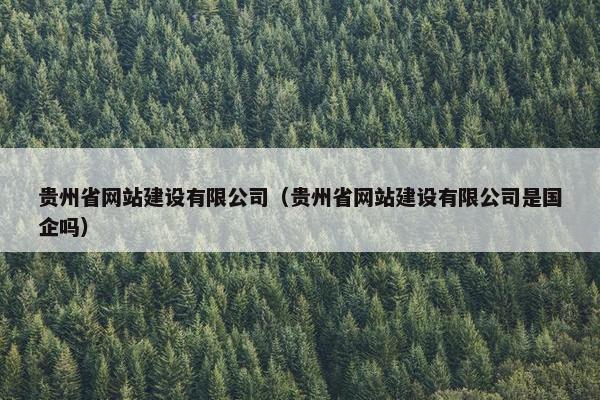 贵州省网站建设有限公司（贵州省网站建设有限公司是国企吗）