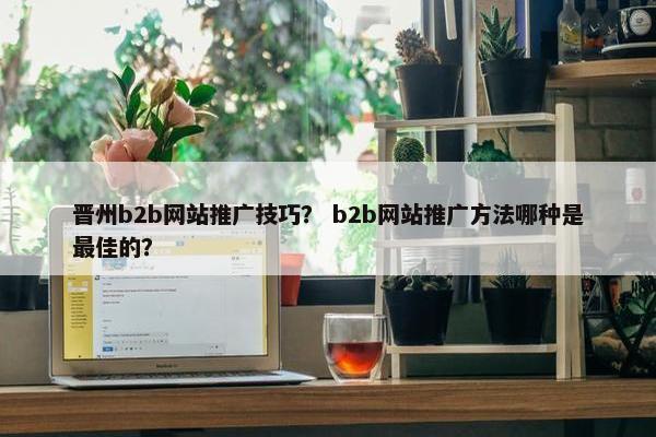 晋州b2b网站推广技巧？ b2b网站推广方法哪种是最佳的？