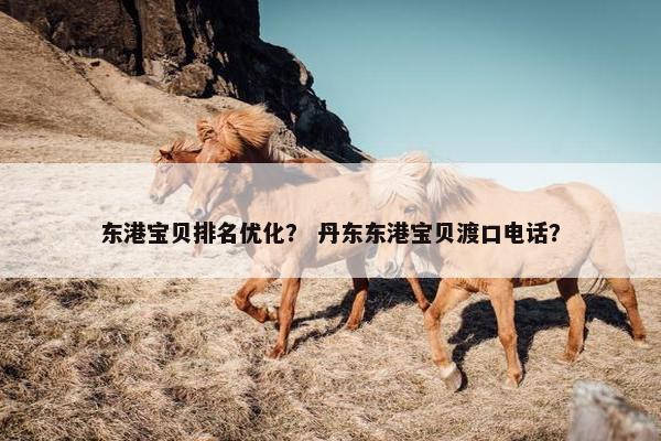 东港宝贝排名优化？ 丹东东港宝贝渡口电话？