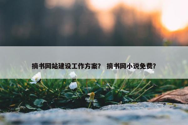 摘书网站建设工作方案？ 摘书网小说免费？