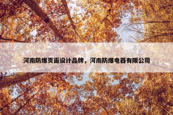 河南防爆页面设计品牌，河南防爆电器有限公司
