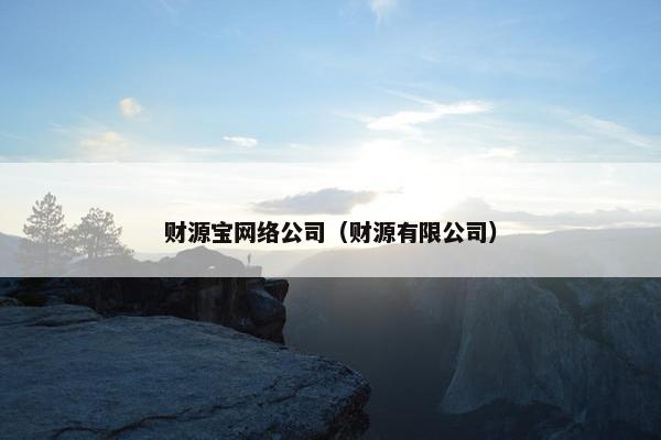 财源宝网络公司（财源有限公司）