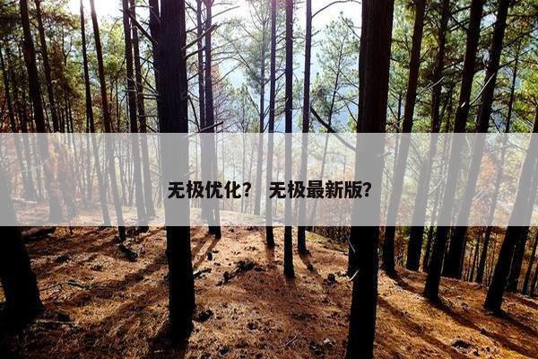 无极优化？ 无极最新版？