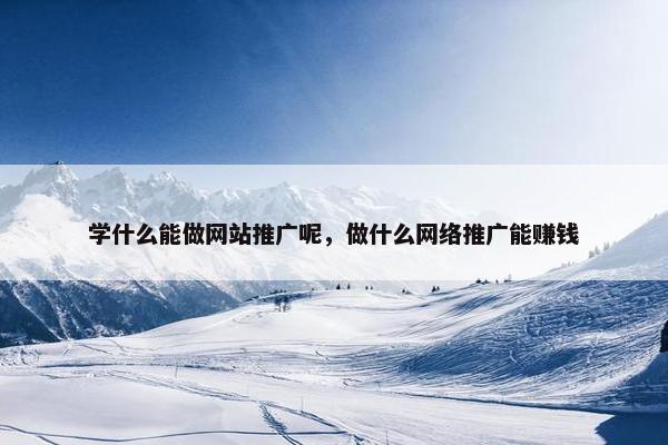 学什么能做网站推广呢，做什么网络推广能赚钱