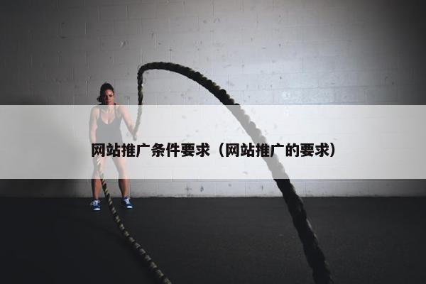 网站推广条件要求（网站推广的要求）