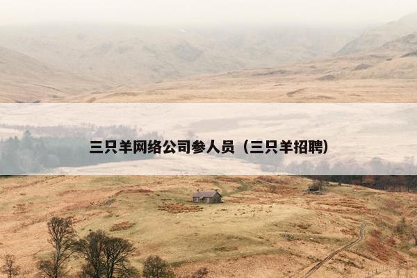 三只羊网络公司参人员（三只羊招聘）
