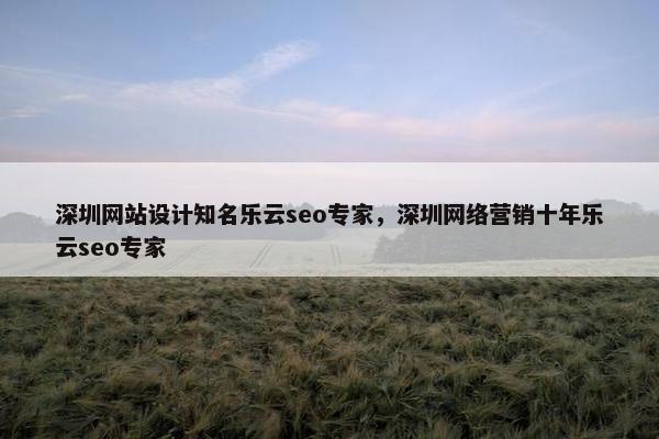 深圳网站设计知名乐云seo专家，深圳网络营销十年乐云seo专家