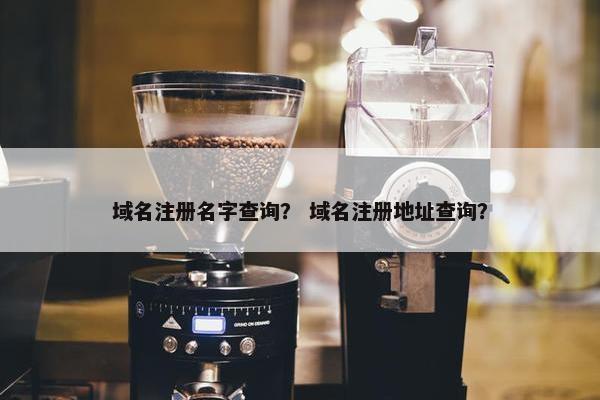 域名注册名字查询？ 域名注册地址查询？