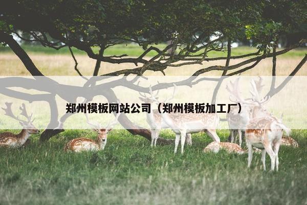 郑州模板网站公司（郑州模板加工厂）