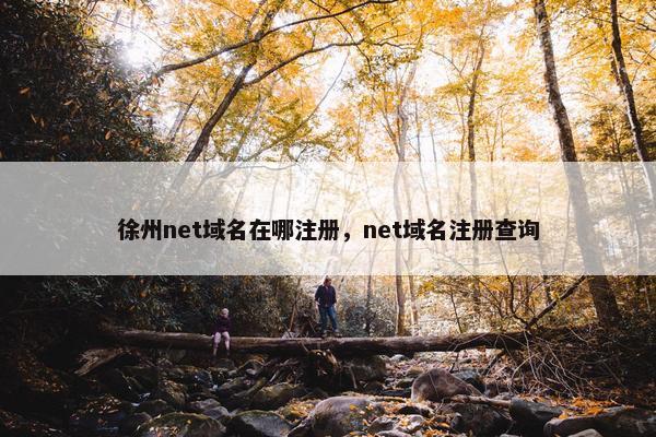 徐州net域名在哪注册，net域名注册查询