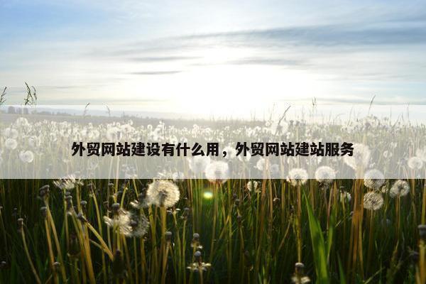外贸网站建设有什么用，外贸网站建站服务