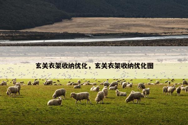 玄关衣架收纳优化，玄关衣架收纳优化图