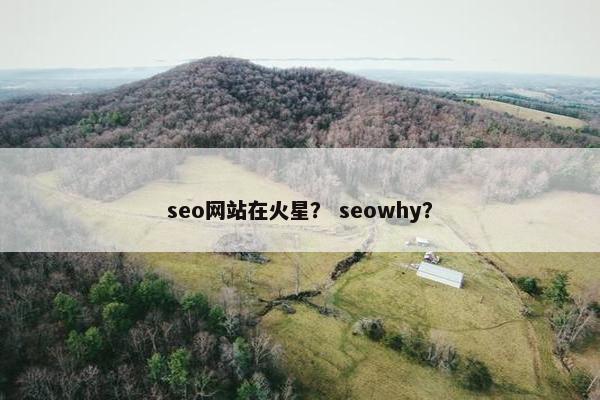 seo网站在火星？ seowhy？